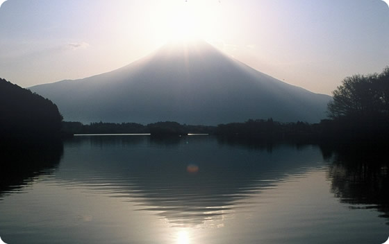 Lake Tanuki